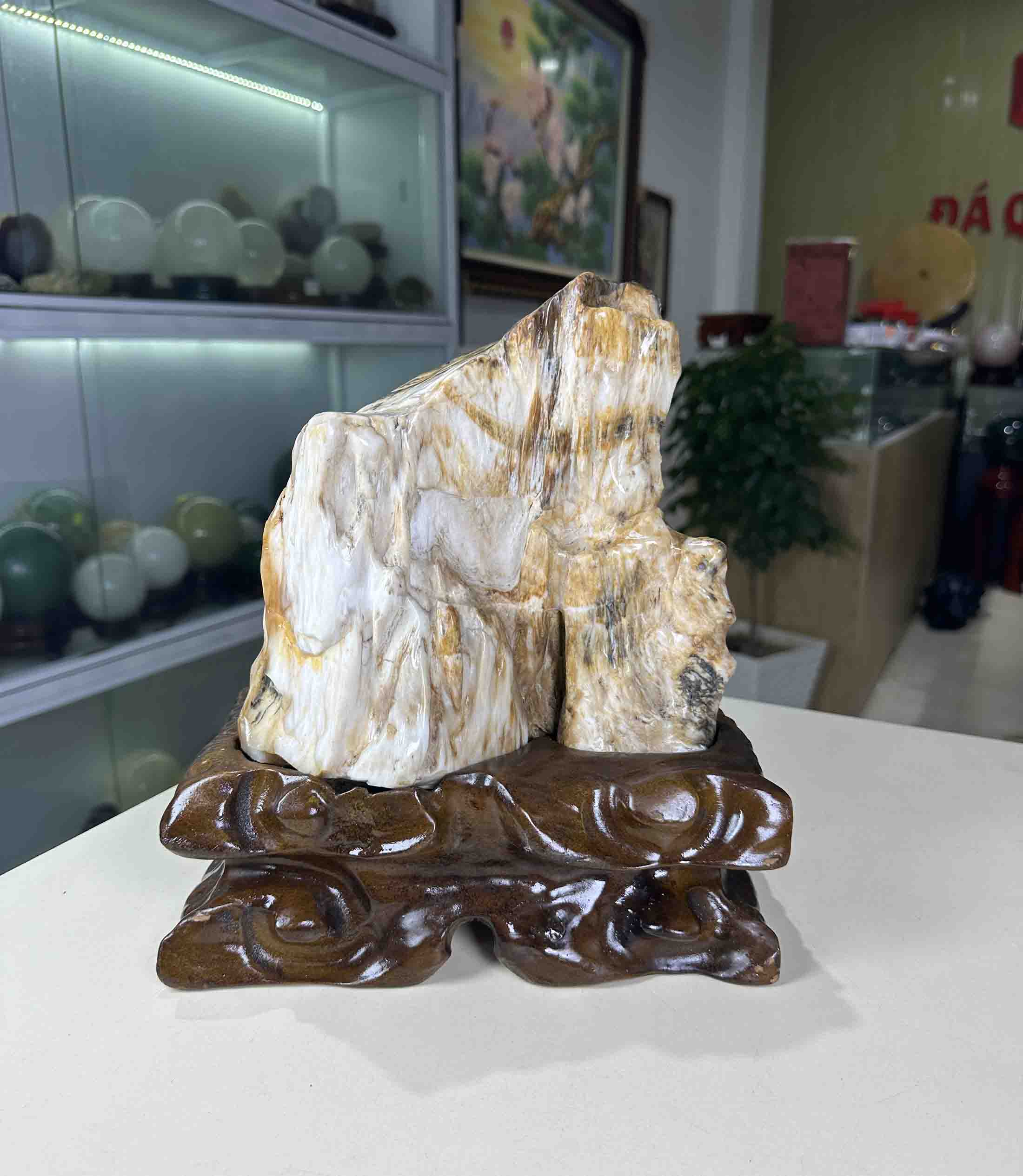 Gỗ Hóa Ngọc Hóa Thạch Hoá Ngọc Tự Nhiên Cao Cấp Trang Trí Phong Thuỷ 5.2kg-27.5cm