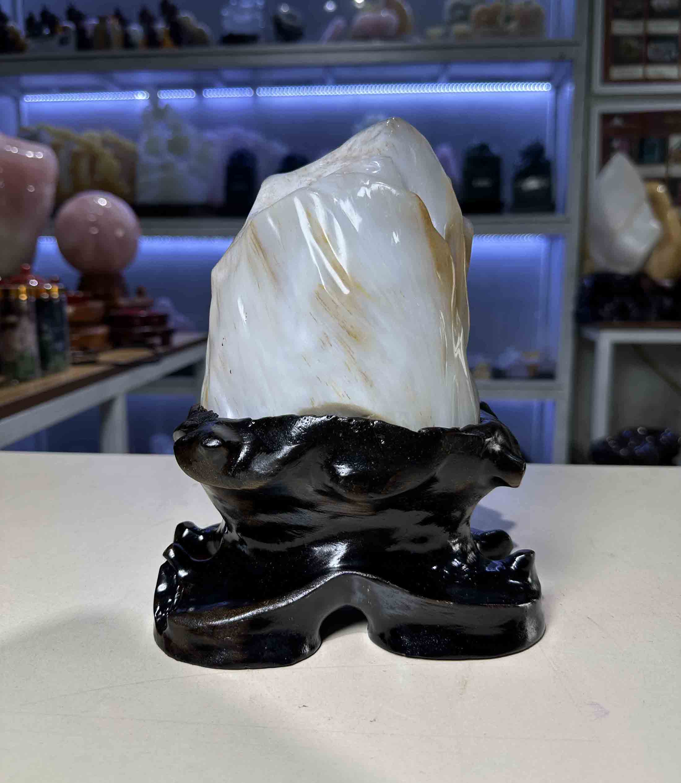 Gỗ Hóa Thạch Thiên Nhiên Loại Đẹp 22cm – Vật Trang Trí Sưu Tầm Độc Đáo